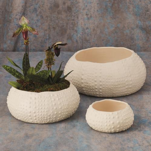 Ceramic Urchin Bowl-Matte White