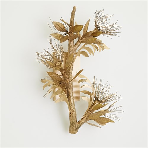 Albizia Wall Sconce